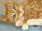 Art: New Kitten Squeaker - Sold by Artist Heather M. Mathieson