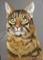 Art: Where is my Treat? - Sold by Artist Heather M. Mathieson