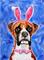 Art: Bunny-Box by Artist Melinda Dalke