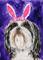 Art: Easter Shih tzu by Artist Melinda Dalke