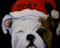 Art: Christmas Bullies by Artist Deborah Sprague