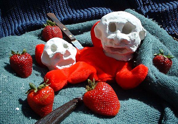 Art: Strawberry Fields Forensic by Artist Elisa Vegliante