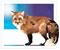 Art: Fox by Artist Kathy Morton Stanion