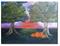 Art: Pumpkin Patch by Artist Shari Lynn Schmidt