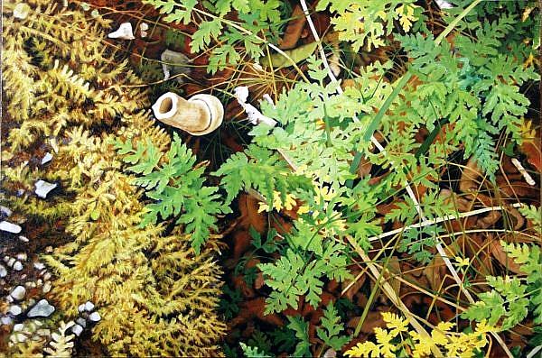 Art: Ferns with Mushroom - Oil Painting by Artist Harlan