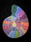 Art: Psychedelic Ammonite by Artist Joeallen Gibson