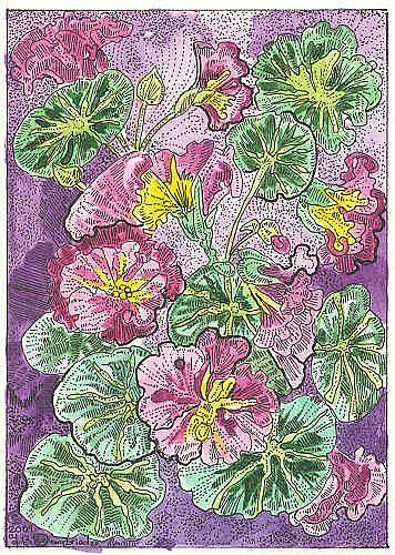 Art: NASTURTIUMS IN THEIR FULL GLORY by Artist Theodora Demetriades