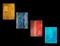 Art: EARTH, WIND, FIRE & WATER (sold) by Artist Jaime Zatloukal Best