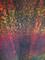Art: SUNSET AFTER THE RAIN(SOLD) by Artist Jaime Zatloukal Best