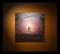 Art: FORGOTTEN by Artist Jaime Zatloukal Best