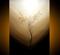 Art: Destiny by Artist Jaime Zatloukal Best