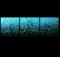 Art: Turquoise Dreams by Artist Jaime Zatloukal Best