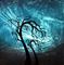 Art: Just to be near you by Artist Jaime Zatloukal Best