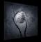 Art: When night has fallen by Artist Jaime Zatloukal Best
