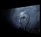 Art: Tell me your secrets by Artist Jaime Zatloukal Best