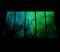 Art: Growing our own ways by Artist Jaime Zatloukal Best
