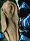 Art: Goddess Brooch by Artist Deborah Sprague