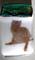 Art: Kitty CAT Dichroic Pendant by Artist Deborah Sprague