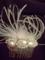 Art: Natalie's Headpiece Wedding by Artist Shoshana Avramovitz