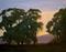Art: Morning's First Light - Malibu Bluffs sunrise with eucalyptus trees - SOLD by Artist Karen Winters