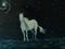 Art: Night Whispers by Artist Kathy Hatt
