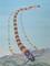 Art: Centipede In Reno by Artist Carol Thompson