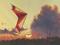 Art: Sunset Hawaiian by Artist Carol Thompson