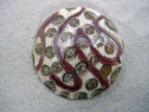 Detail Image for art Ambrosia *SILVER DOTS 1* Lampwork FOCAL Bead Handmade  - SOLD