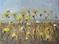 Art: Field Flowers SOLD by Artist Terri L West