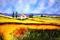 Art: Tuscany Countryside Flowers by Artist Laurie Justus Pace