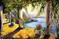 Art: Tuscany Gold View of the Sea by Artist Laurie Justus Pace