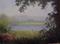 Art: Looking thru the Trees by Artist Barbara Haviland