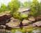 Art: McKinney Falls Plein Air No 1 by Artist Barbara Haviland