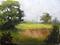 Art: View From Road by Artist Barbara Haviland