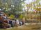 Art: Terrell Park Landscape  by Artist Barbara Haviland