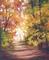 Art: Down the Yellow Path II by Artist Barbara Haviland