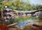 Art: McKinney Falls Again  #6 by Artist Barbara Haviland