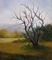 Art: Tree in West Texas  by Artist Barbara Haviland