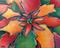 Art: Flor De Pascua by Artist Lindi Levison