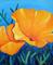Art: California Poppies by Artist Lindi Levison