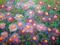 Art: Chrysanthemum Anthem by Artist Lindi Levison