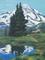 Art: Mt Rainier Reflections by Artist Carol Thompson
