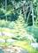 Art: The Four Seasons: Summer by Artist Cathy  (Kate) Johnson