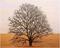 Art: Last Tree Leaf in the Texas Wind by Artist Lar Shackelford