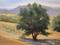 Art: Strength of an Oak, landscape oil painting by Artist Karen Winters