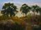 Art: Eucalyptus at Back Bay, Newport, Oil painting SOLD by Artist Karen Winters