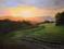 Art: Sauvignon Sunset Paso Robles California landscape oil painting SOLD by Artist Karen Winters