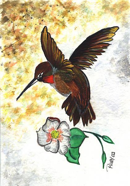 Art: Hummingbird in Landing by Artist Marcia Ruby