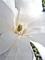 Art: Interior Charm by Artist Deanne Flouton