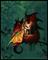 Art: Little Light by Artist Nico Niemi